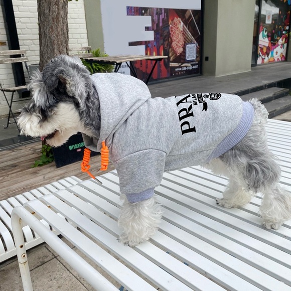 Gray Pradog sweater - Picture 5 of 6